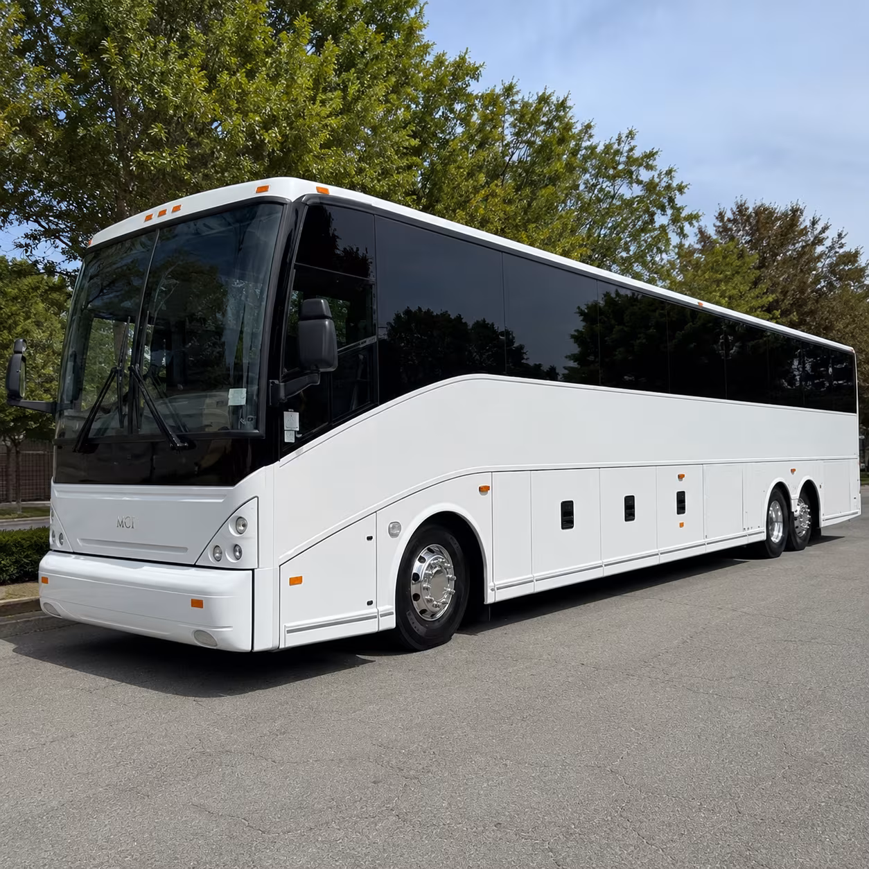 arrange transportation for your next birthday 2